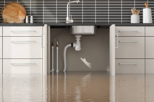 Reliable Wildwood, TN Water damage restoration Solutions