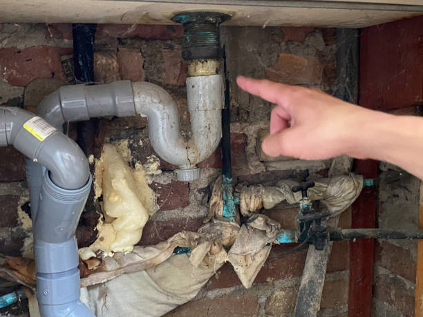 Best Ceiling water damage repair  in Wildwood, TN