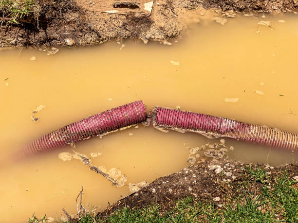 Best Water damage contractors near me  in Wildwood, TN
