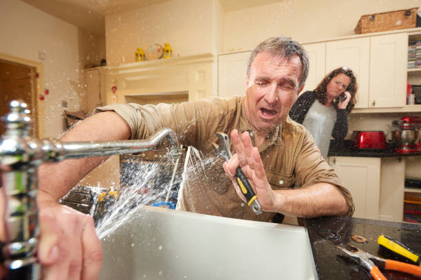 Best Water damage cleanup near me  in Wildwood, TN